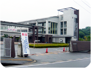 ���ܵ��Ѹ�����