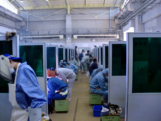 �½�����